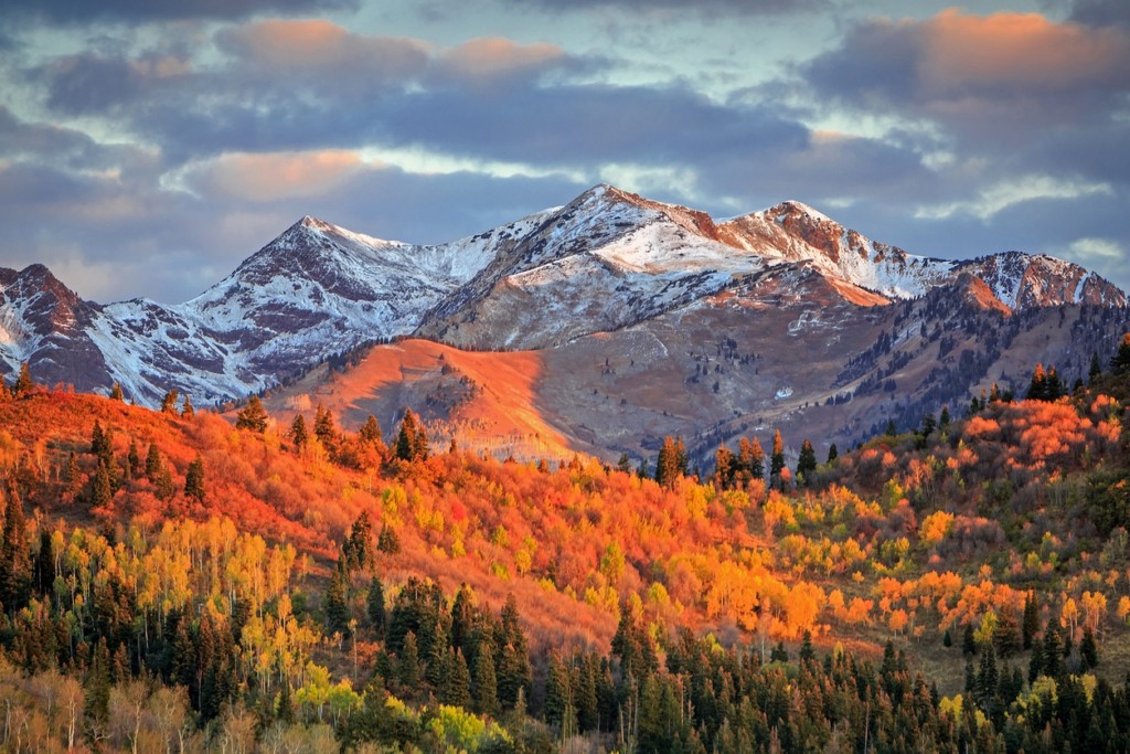 Top 7 Colorado Hikes to Experience Fall Foliage - Odyssey Center